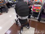 Детская коляска Adamex Barletta World Colletion 3 в 1 универсальная