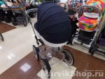 Детская коляска Adamex Katrina Ecco 3 в 1 универсальная
