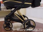 Детская коляска Bexa Next Gold 2 в 1 универсальная