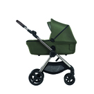 Детская коляска 2 в 1 Anex iQ Premium цвет iQ-09 Richi зелёный