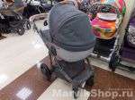 Детская коляска Adamex Massimo 3 в 1 универсальная