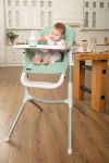 Детский стульчик для кормления Carrello Iris CRL-8402