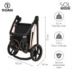 Детская коляска Roan Sol Luxury 2 в 1