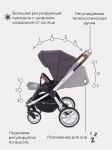 Детская коляска Rant Flex 2 в 1 2022