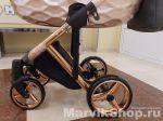 Детская коляска Adamex Chantal Star Collection 2 в 1