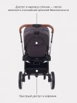 Детская коляска Rant Flex 2 в 1 2022