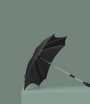 Зонтик для коляски универсальный Anex